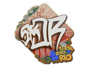 Sticker | sk0R | Rio 2022