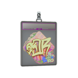 Sticker Slab | sk0R (Holo) | Rio 2022