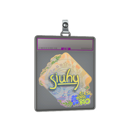 Sticker Slab | siuhy (Holo) | Rio 2022