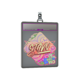 Sticker Slab | stavn (Holo) | Rio 2022