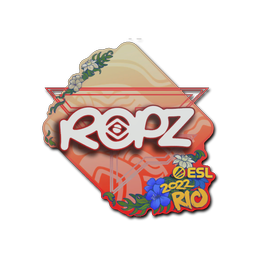 ropz | Rio 2022