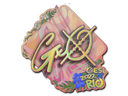 Sticker | gxx- (Holo) | Rio 2022