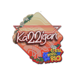 karrigan | Rio 2022