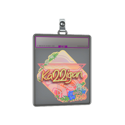 Sticker Slab | karrigan (Holo) | Rio 2022