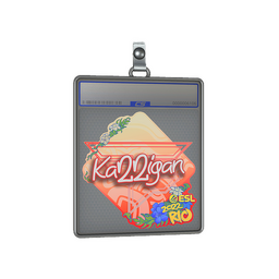 Sticker Slab | karrigan | Rio 2022