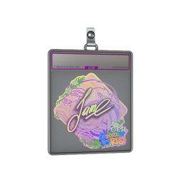 Sticker Slab | Jame (Holo) | Rio 2022