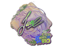 Sticker | Jame (Holo) | Rio 2022