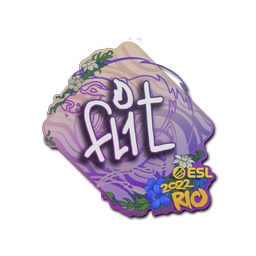 FL1T | Рио-2022