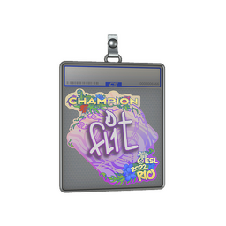Sticker Slab | FL1T (Champion) | Rio 2022