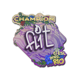 FL1T (чемпион) | Рио-2022