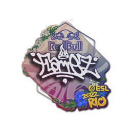 FlameZ | Rio 2022