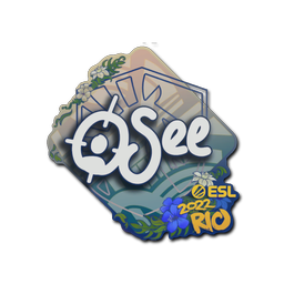 oSee | Rio 2022
