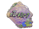 Sticker | n0rb3r7 (Holo) | Rio 2022