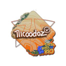 nicoodoz | Рио-2022