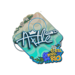 Ax1Le | Rio 2022