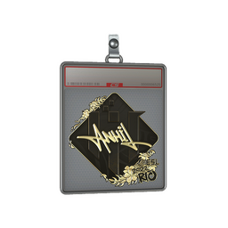 Sticker Slab | ANNIHILATION (Gold) | Rio 2022