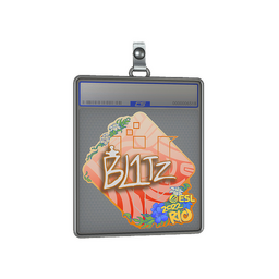 Sticker Slab | bLitz | Rio 2022