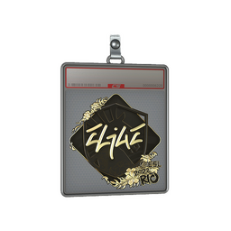 Sticker Slab | EliGE (Gold) | Rio 2022