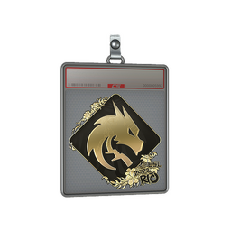 Sticker Slab | Team Spirit (Gold) | Rio 2022