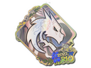 Sticker | Team Spirit (Holo) | Rio 2022