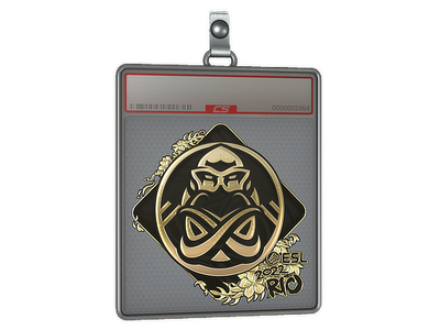 Sticker Slab | ENCE (Gold) | Rio 2022 CS2 (CS:GO): Buy, Sell and Trade ...