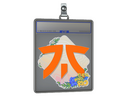 Sticker Slab | Fnatic | Rio 2022