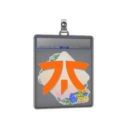 Sticker Slab | Fnatic | Rio 2022