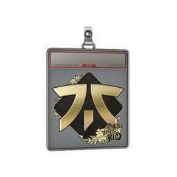 Sticker Slab | Fnatic (Gold) | Rio 2022