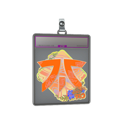 Sticker Slab | Fnatic (Holo) | Rio 2022