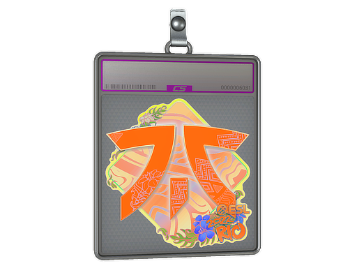 Sticker Slab | Fnatic (Holo) | Rio 2022