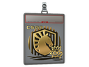 Sticker Slab | Liquid (Gold) | 2020 RMR