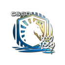 Sticker | Liquid (Foil) | 2020 RMR