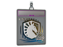 Sticker Slab | Liquid (Foil) | 2020 RMR