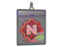 Sticker Slab | Nemiga (Holo) | 2020 RMR