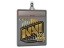 Sticker Slab | Natus Vincere (Gold) | 2020 RMR