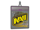 Sticker Slab | Natus Vincere (Foil) | 2020 RMR