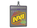 Sticker Slab | Natus Vincere (Holo) | 2020 RMR