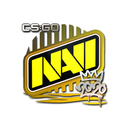 Natus Vincere | РМР-2020