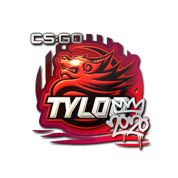 TYLOO | РМР-2020