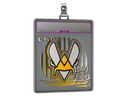 Sticker Slab | Vitality (Foil) | 2020 RMR