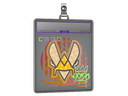 Sticker Slab | Vitality (Holo) | 2020 RMR