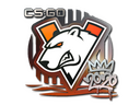Sticker | Virtus.pro | 2020 RMR