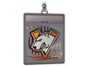 Sticker Slab | Virtus.pro (Foil) | 2020 RMR