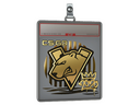 Sticker Slab | Virtus.pro (Gold) | 2020 RMR