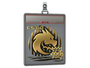 Sticker Slab | Spirit (Gold) | 2020 RMR