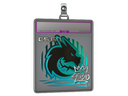 Sticker Slab | Spirit (Foil) | 2020 RMR