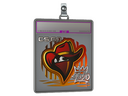 Sticker Slab | Renegades (Foil) | 2020 RMR