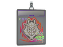 Sticker Slab | G2 (Holo) | 2020 RMR