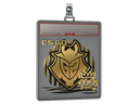 Sticker Slab | G2 (Gold) | 2020 RMR