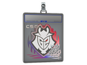 Sticker Slab | G2 | 2020 RMR